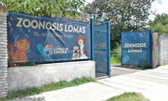 Dirección Municipal de Zoonosis